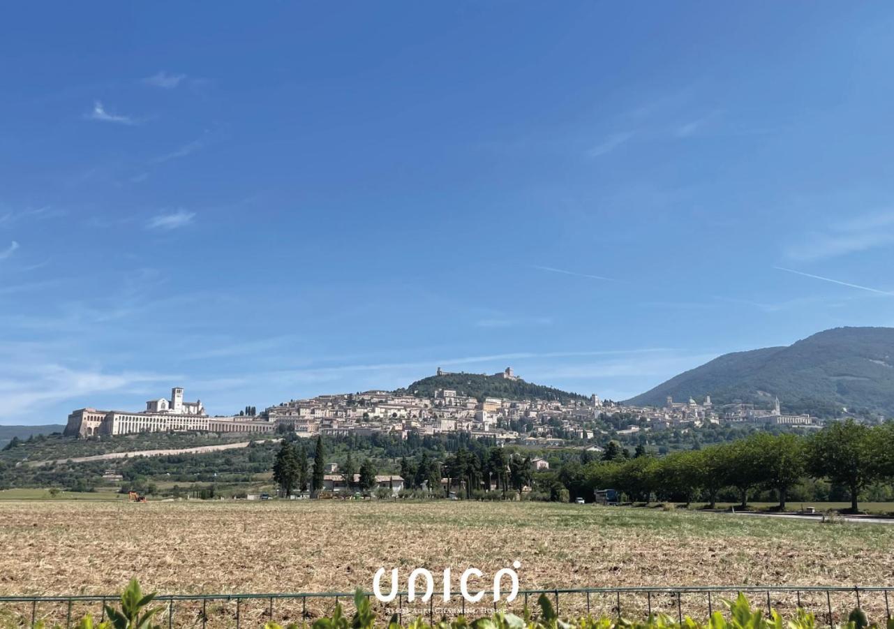 Unica Assisi Agri-Charming House Villa Eksteriør bilde